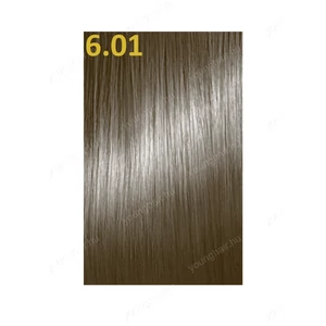 Color Beauty krémhajfesték 100 ml / 6.01 intenzív hideg sötétszőke