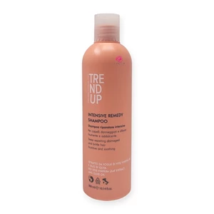 Sampon Repair - hajszerkezet javító - Trend Up 300ml